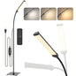 Dimmable LED Floor Lamp with Remote