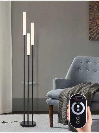 Dimmable LED Shelf Floor Lamp