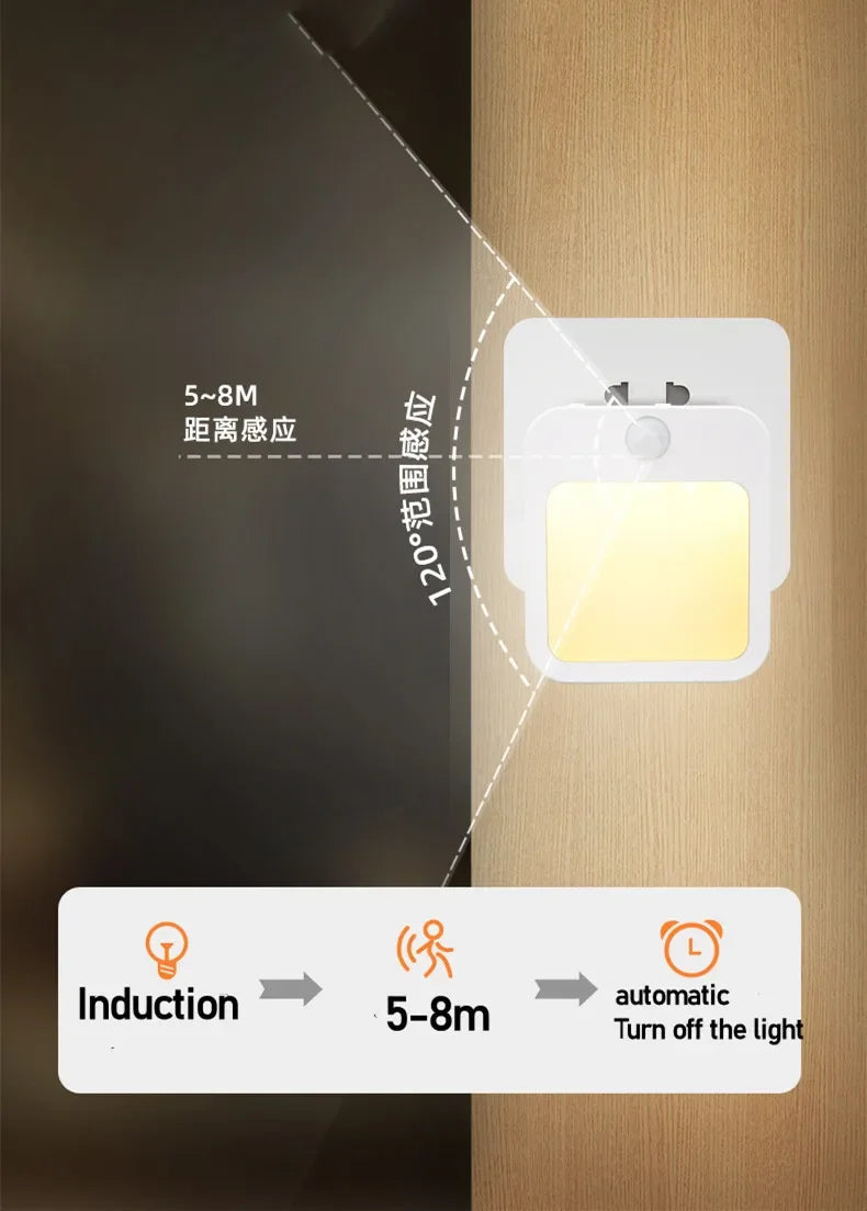 Dimmable Motion Sensor LED Night Light