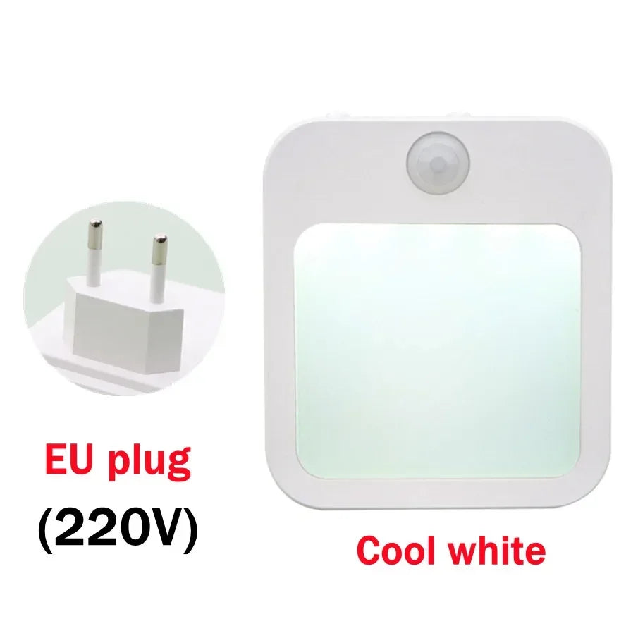 Dimmable Motion Sensor LED Night Light