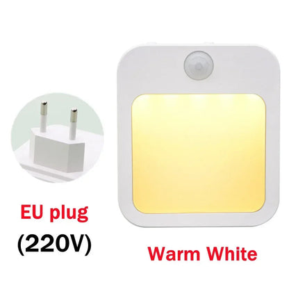 Dimmable Motion Sensor LED Night Light