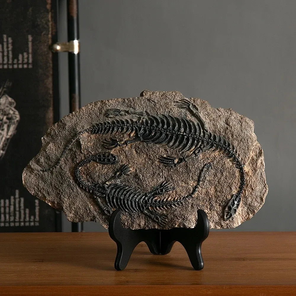 Dinosaur Fossil Resin Decorative Sculpture