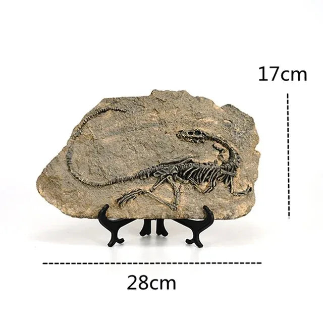 Dinosaur Fossil Resin Decorative Sculpture