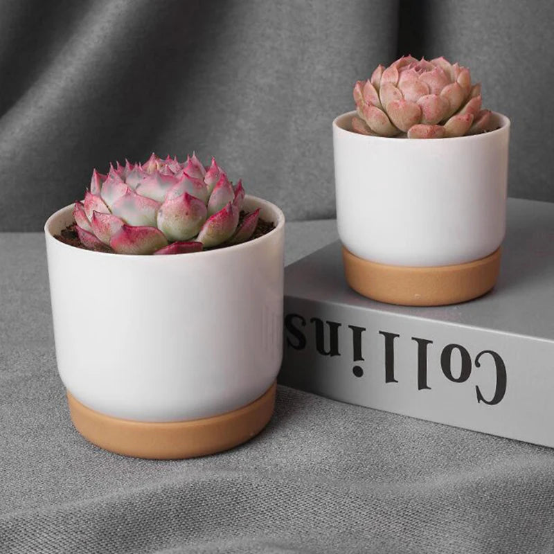 Double-Layer Green Succulent Pot