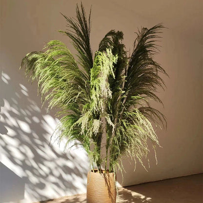 Extra Large Dried Pampas Grass Bouquet