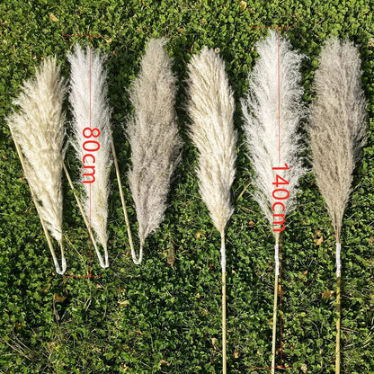 Extra Large Dried Pampas Grass Bouquet