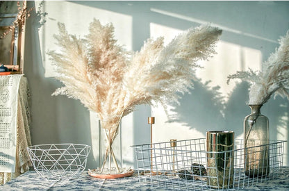 Extra Large Dried Pampas Grass Bouquet