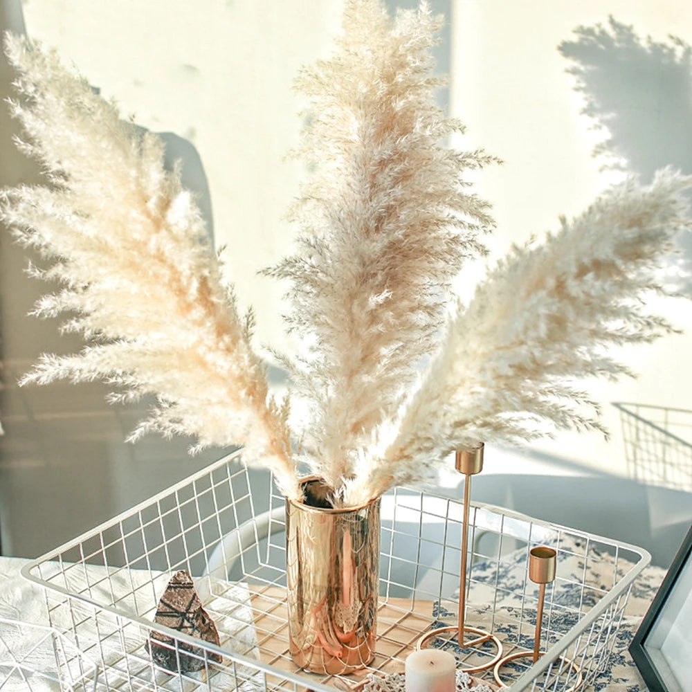 Extra Large Dried Pampas Grass Bouquet