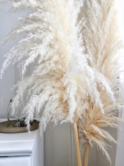 Extra Large Dried Pampas Grass Bouquet