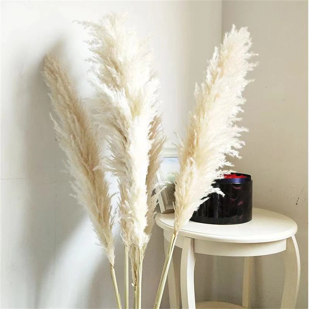 Extra Large Dried Pampas Grass Bouquet