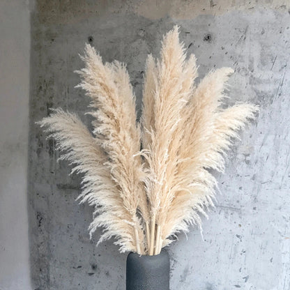 Extra Large Dried Pampas Grass Bouquet