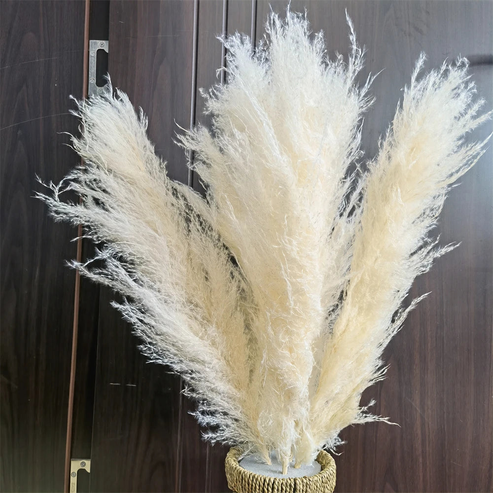 Extra Large Dried Pampas Grass Bouquet