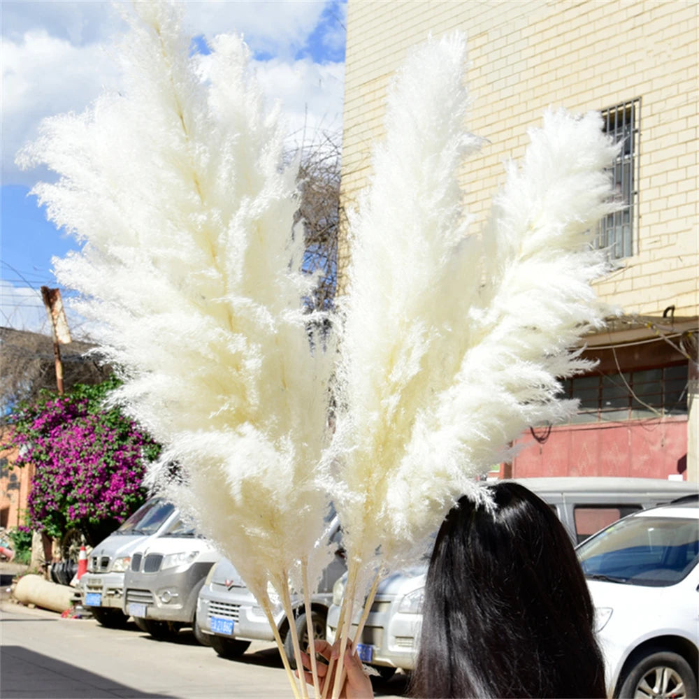 Extra Large Dried Pampas Grass Bouquet