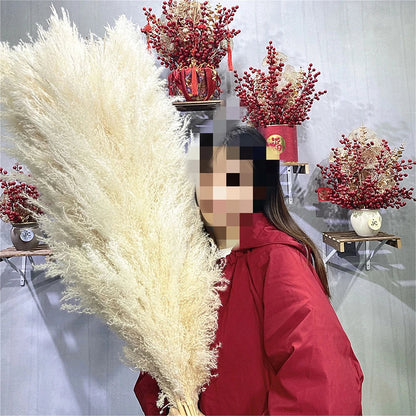 Extra Large Dried Pampas Grass Bouquet