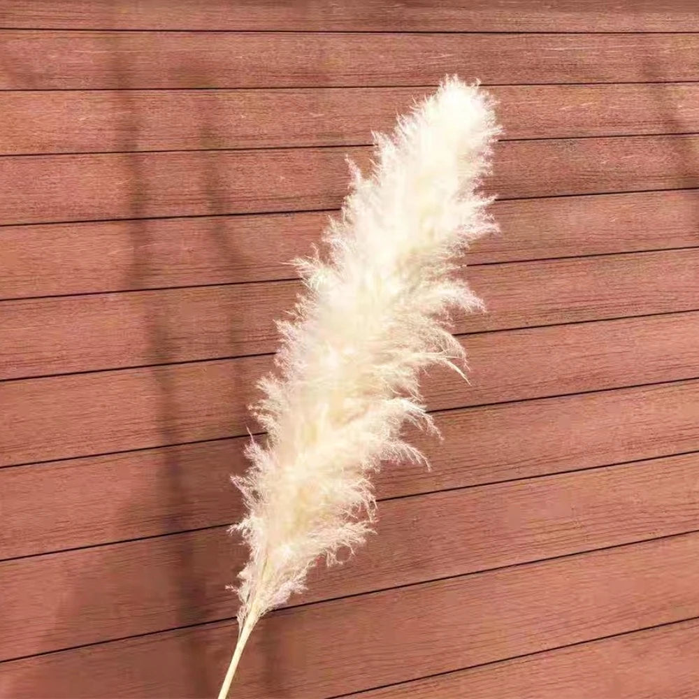 Extra Large Dried Pampas Grass Bouquet