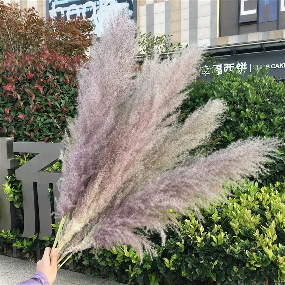 Extra Large Dried Pampas Grass Bouquet