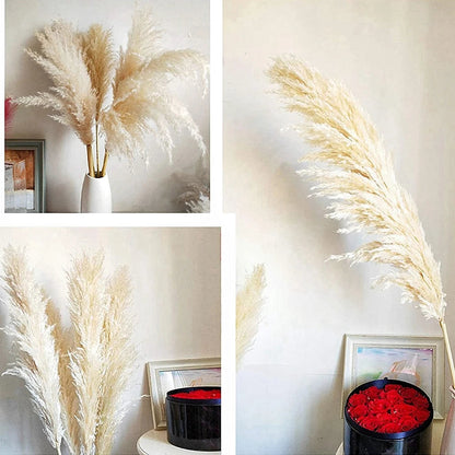 Extra Large Dried Pampas Grass Bouquet