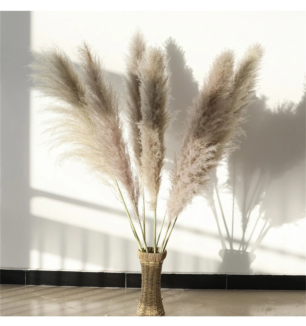 Extra Large Dried Pampas Grass Bouquet