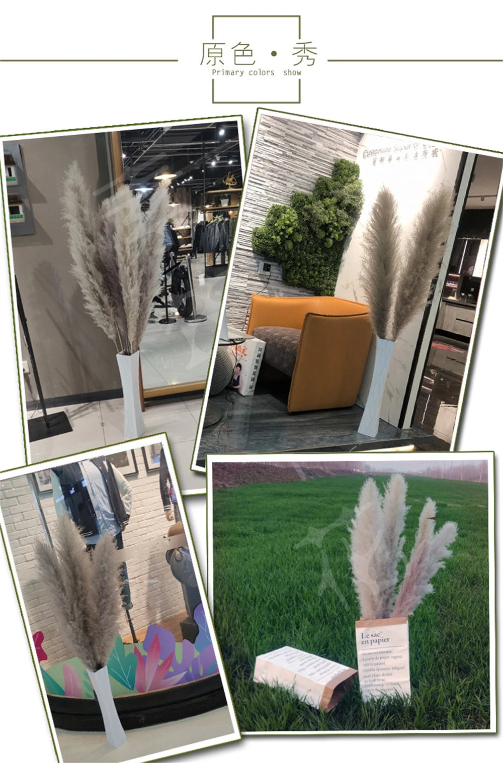 Extra Large Dried Pampas Grass Bouquet