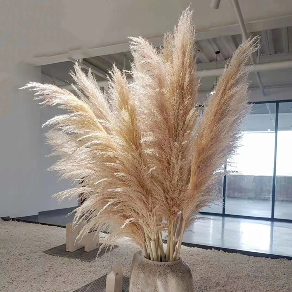 Extra Large Dried Pampas Grass Bouquet