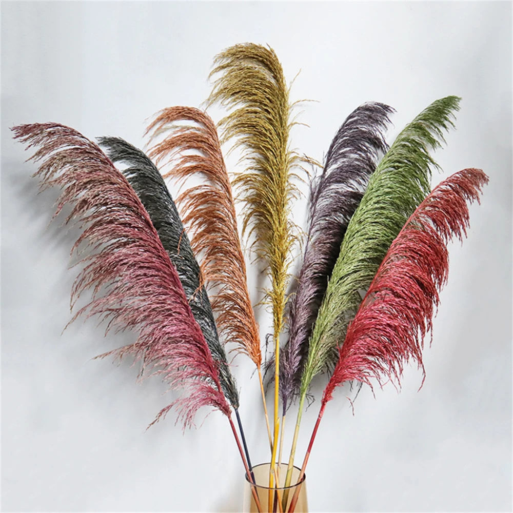 Extra Large Dried Pampas Grass Bouquet