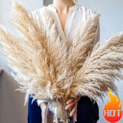 Extra Large Dried Pampas Grass Bouquet