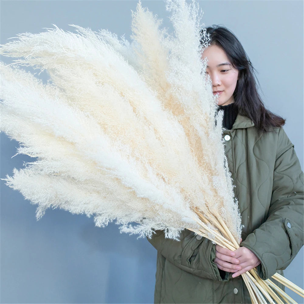 Extra Large Natural Pampas Grass Bouquet