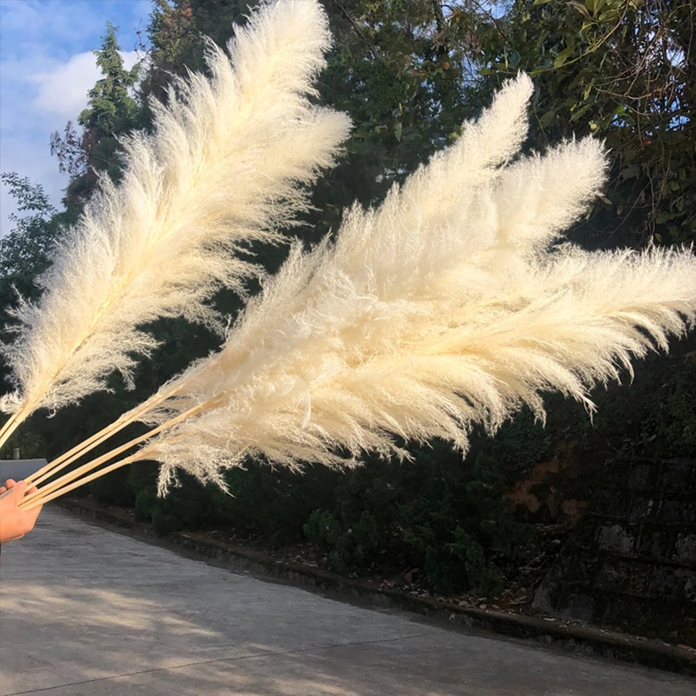 Extra Large Natural Pampas Grass Bouquet