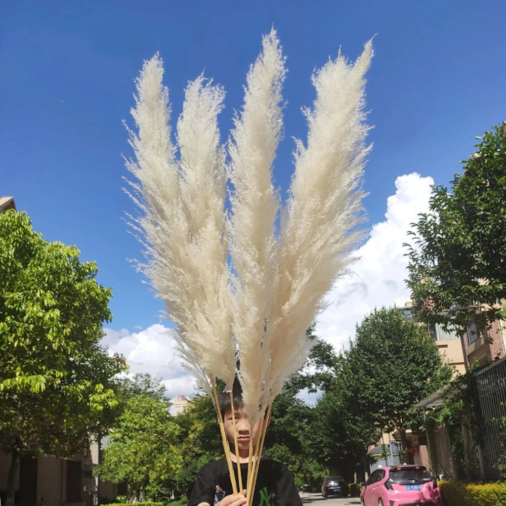 Extra Large Natural Pampas Grass Bouquet