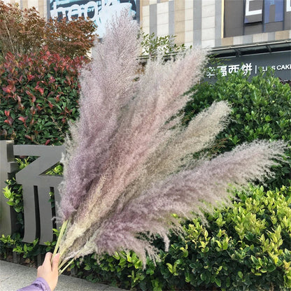 Extra Large Natural Pampas Grass Bouquet