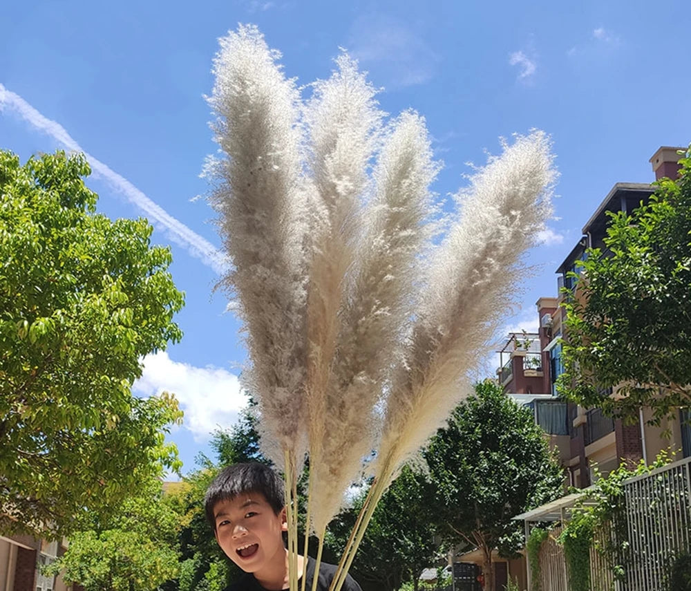 Extra Large Natural Pampas Grass Bouquet