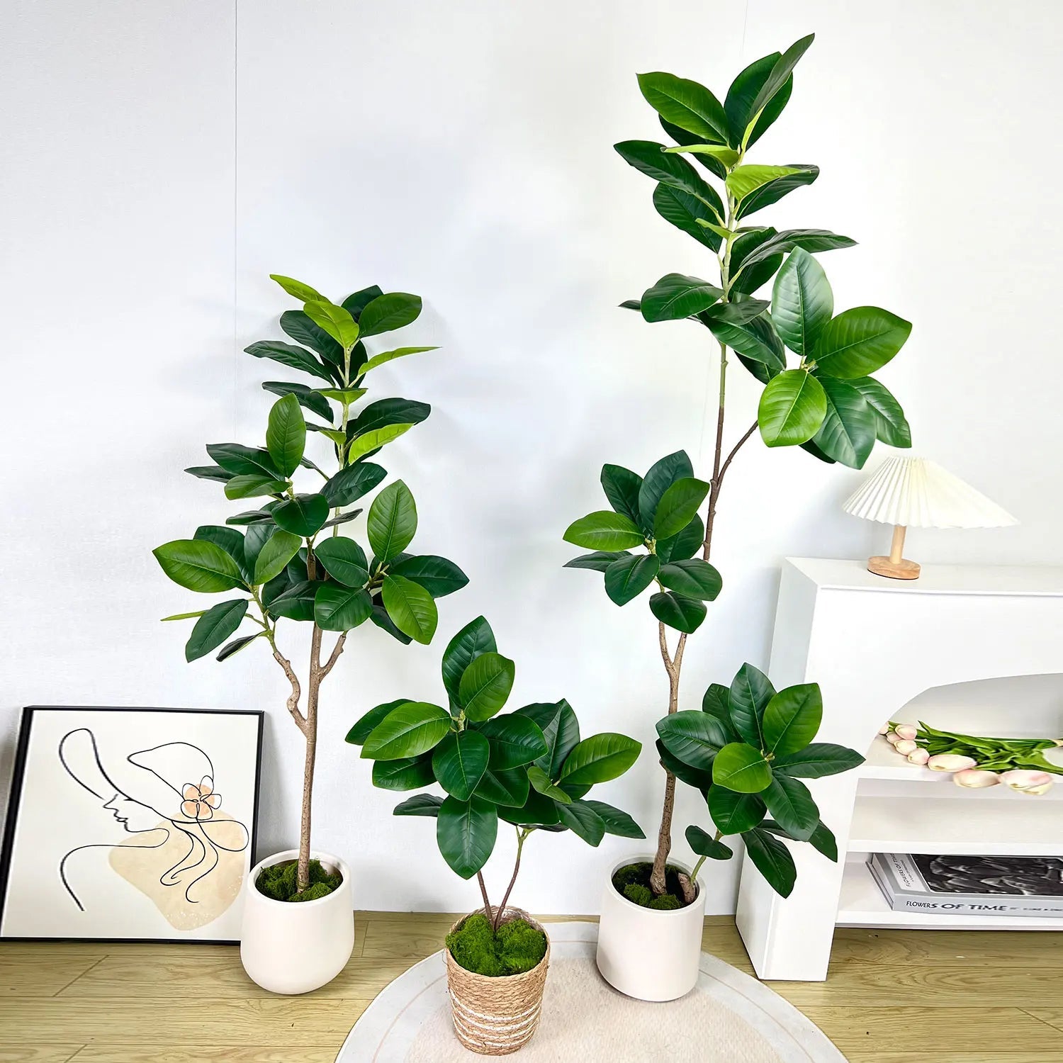 Faux Ficus Tree - 70/135cm