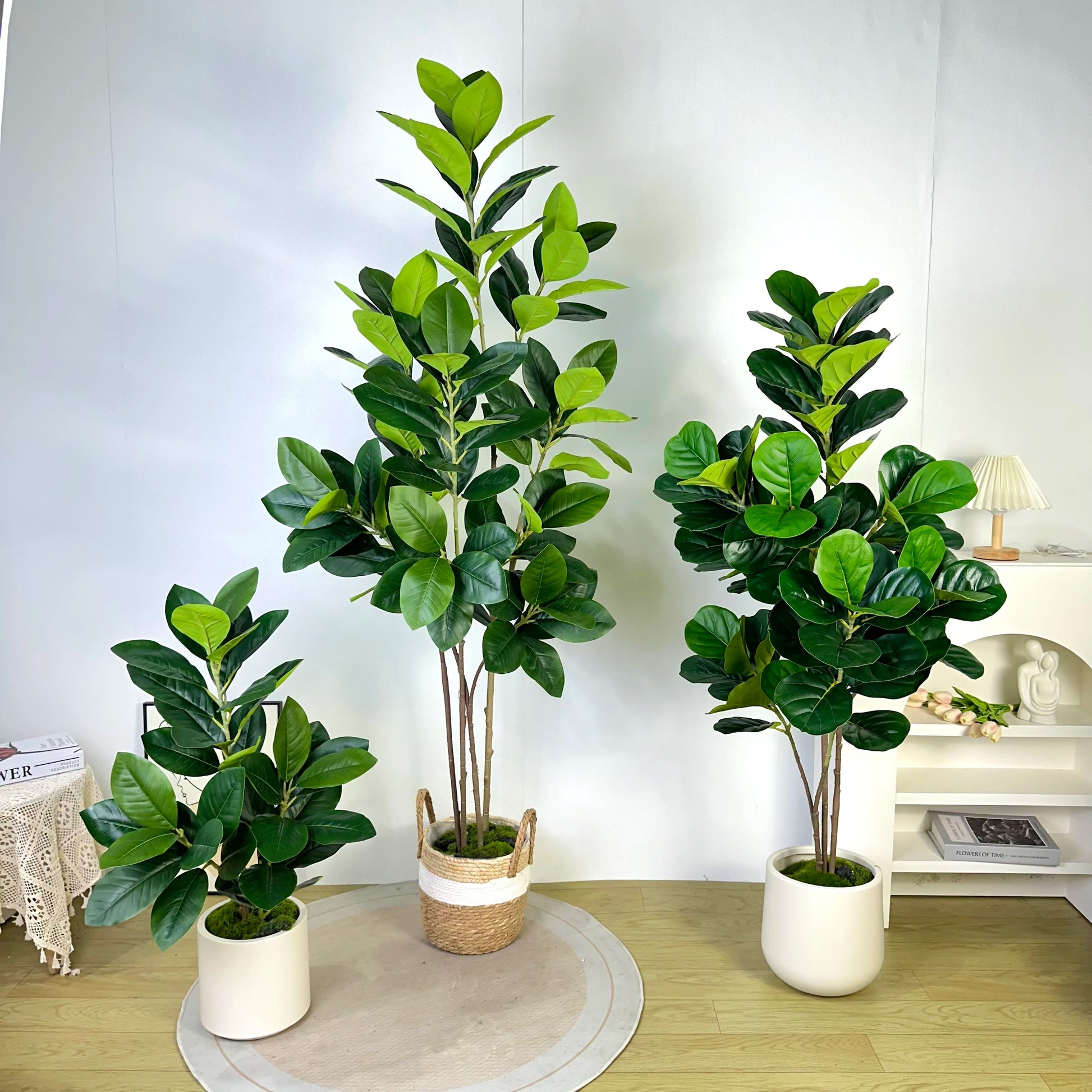 Faux Ficus Tree - 70/135cm