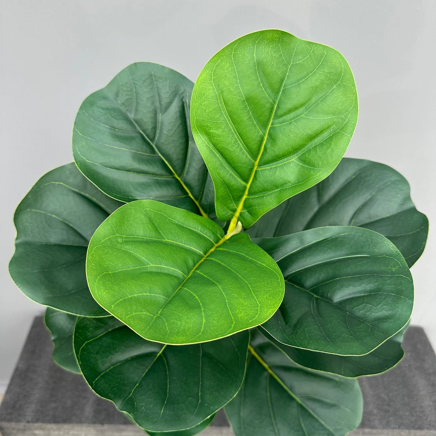 Faux Ficus Tree - 70/135cm