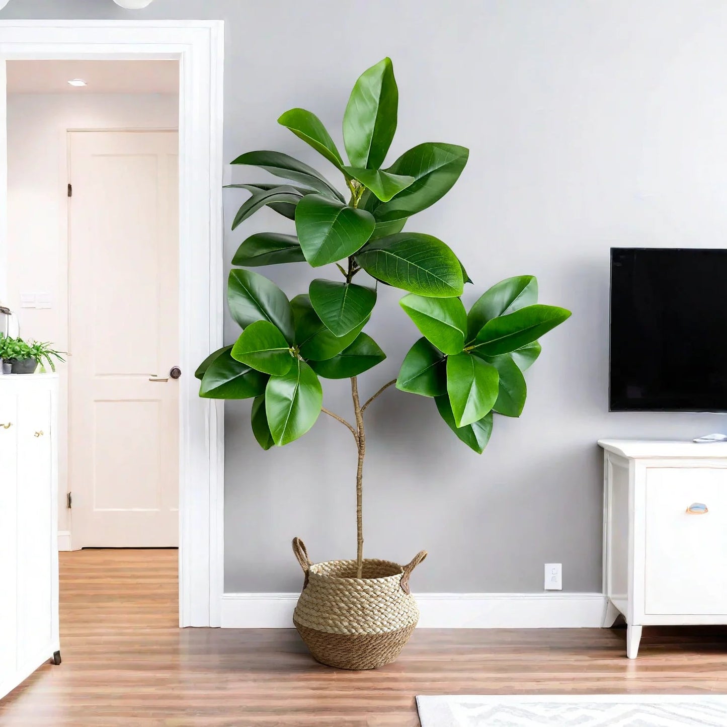 Faux Ficus Tree - 70/135cm