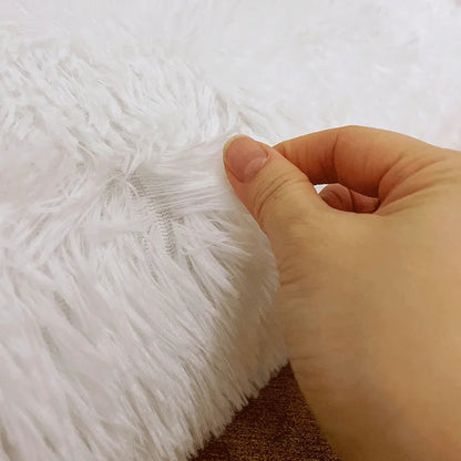 Fluffy Beige Shaggy Carpet for Bedrooms