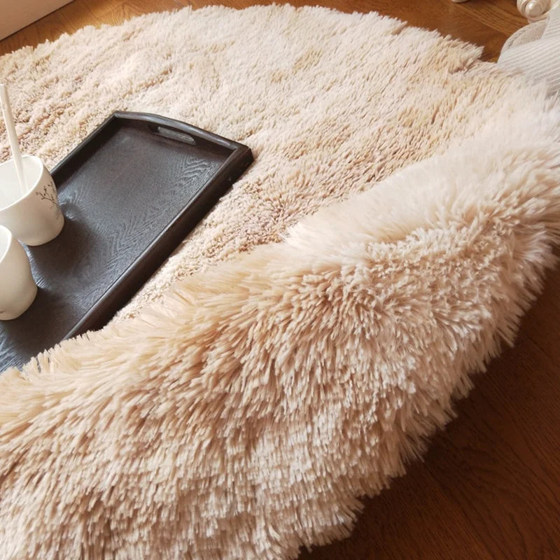 Fluffy Beige Shaggy Carpet for Bedrooms