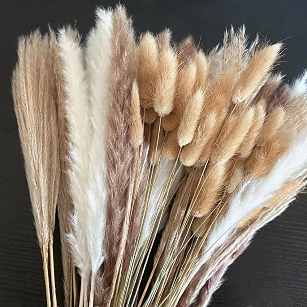 Fluffy Natural Dried Pampas Bouquet