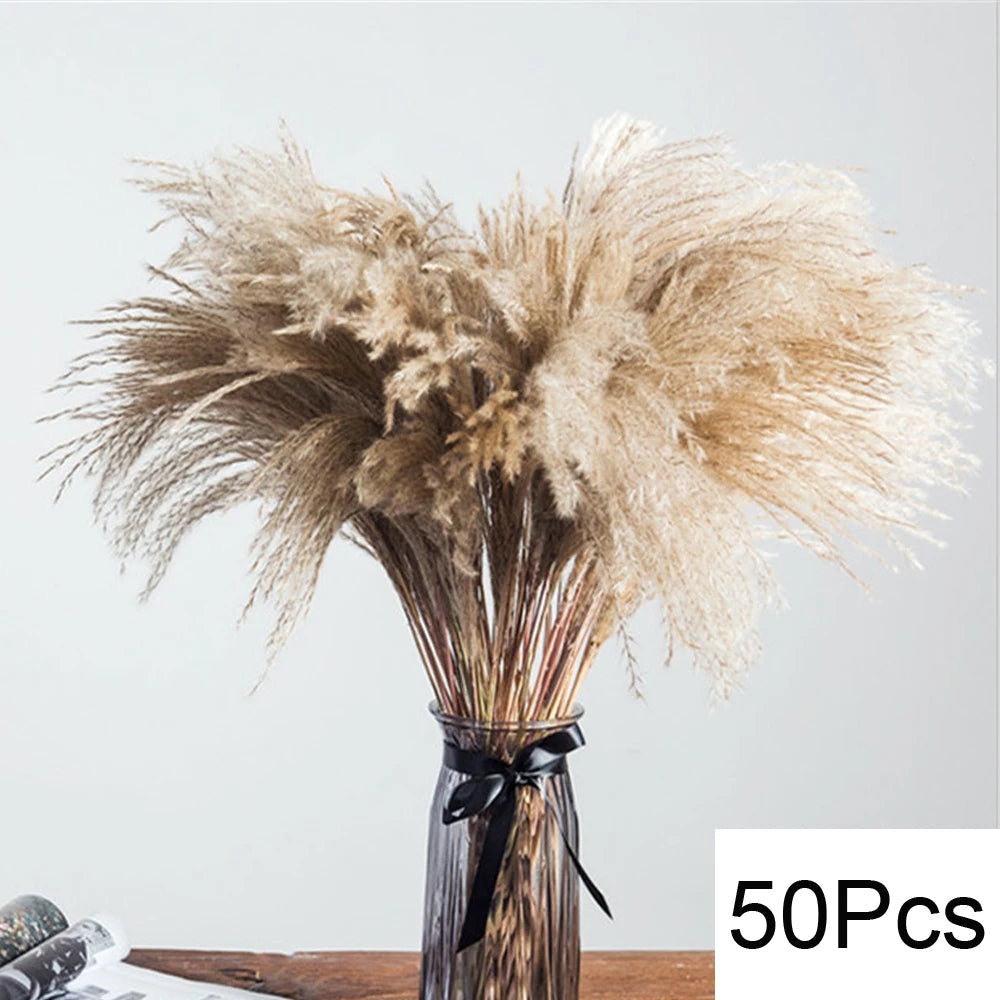 Fluffy Natural Dried Pampas Bouquet