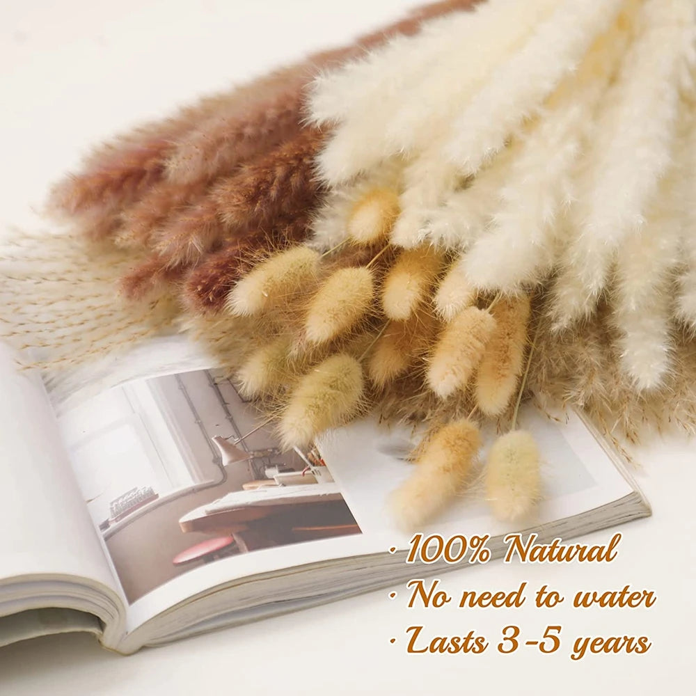 Fluffy Natural Dried Pampas Bouquet