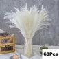 Fluffy Natural Dried Pampas Bouquet