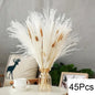 Fluffy Natural Dried Pampas Grass