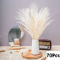 Fluffy Natural Dried Pampas Grass