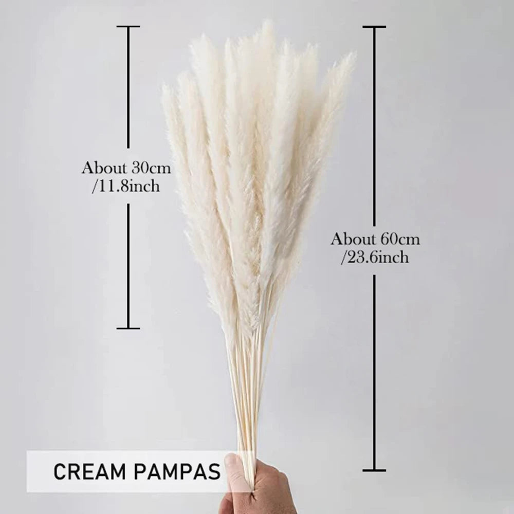 Fluffy Natural Dried Pampas Grass