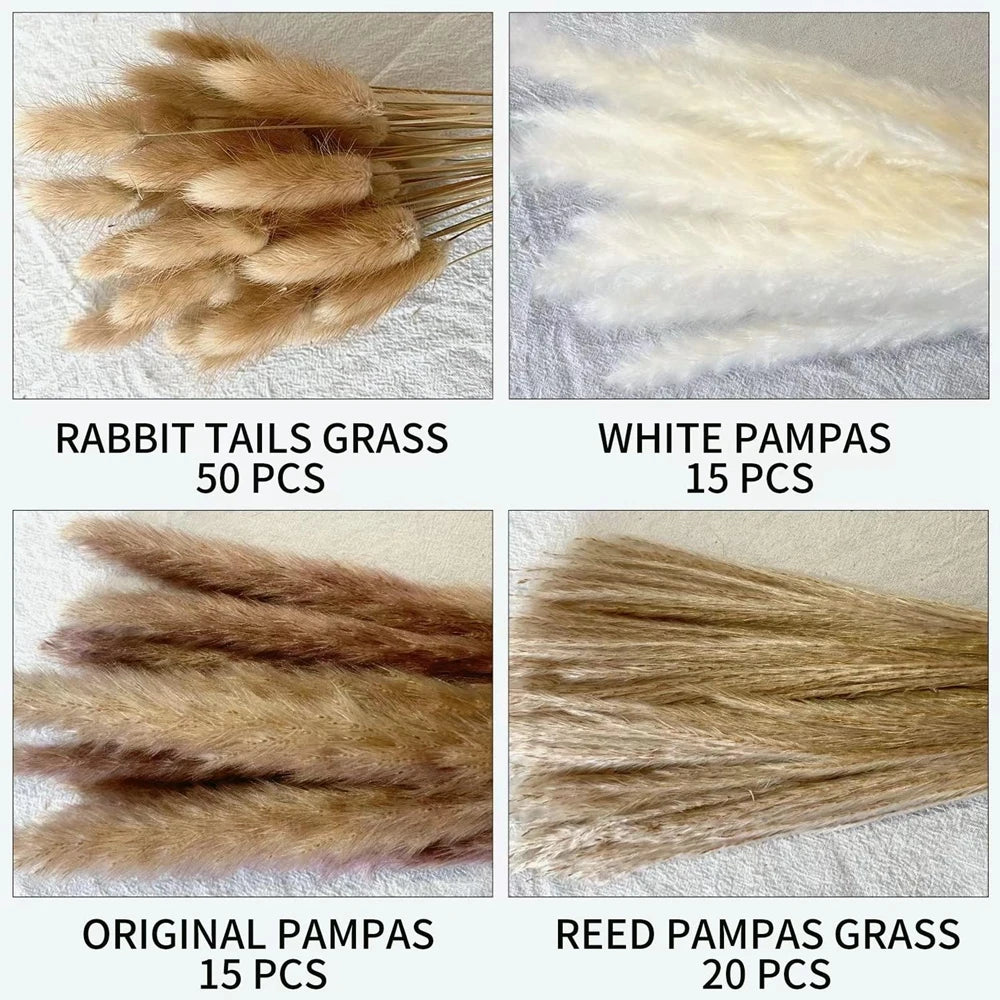 Fluffy Natural Dried Pampas Grass