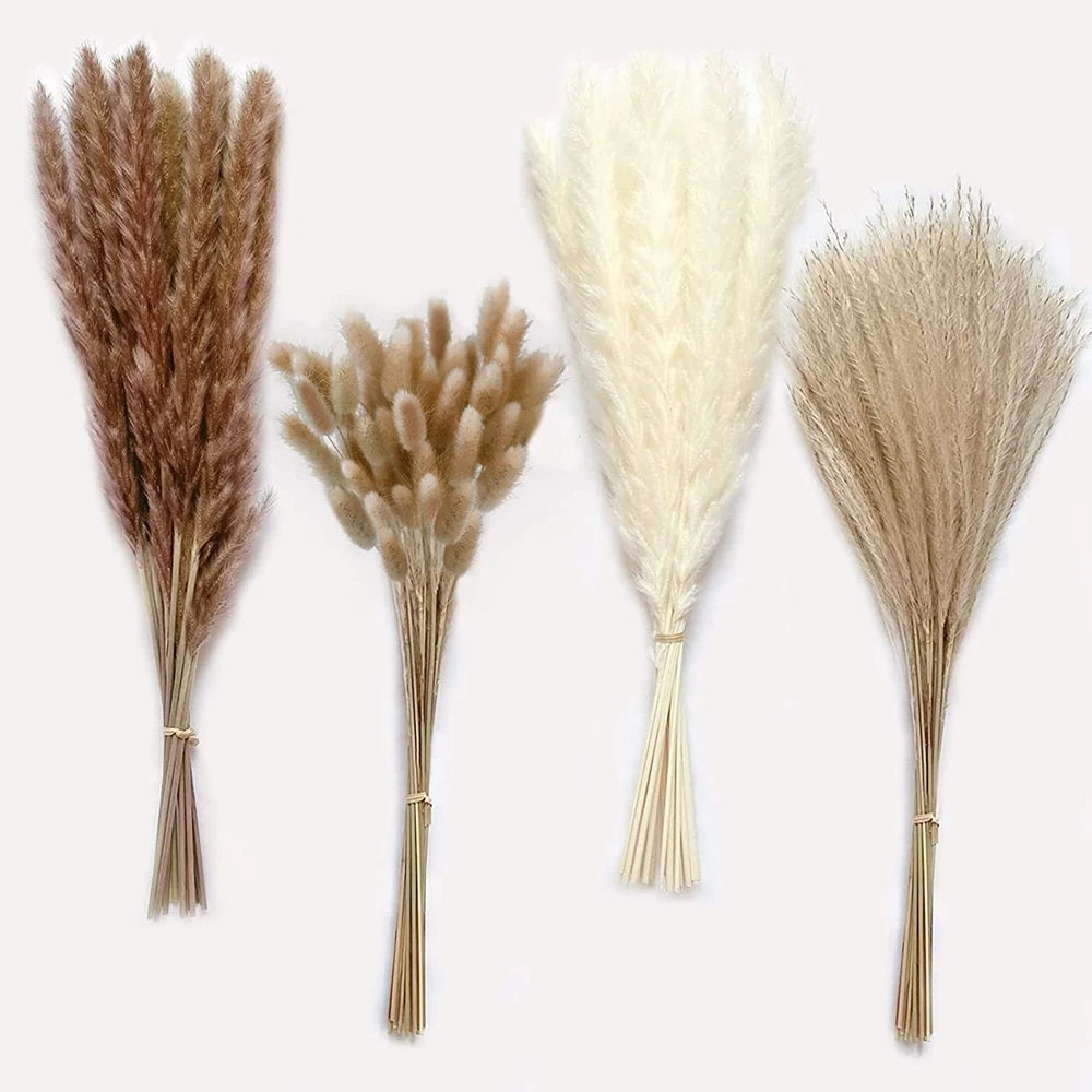 Fluffy Natural Dried Pampas Grass