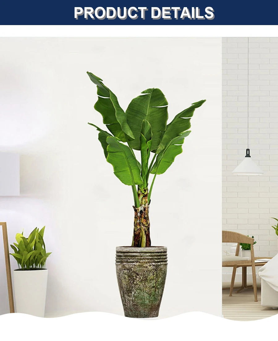 Fresh Green Plant Wall Stickers