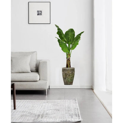 Fresh Green Plant Wall Stickers