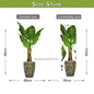 Fresh Green Plant Wall Stickers