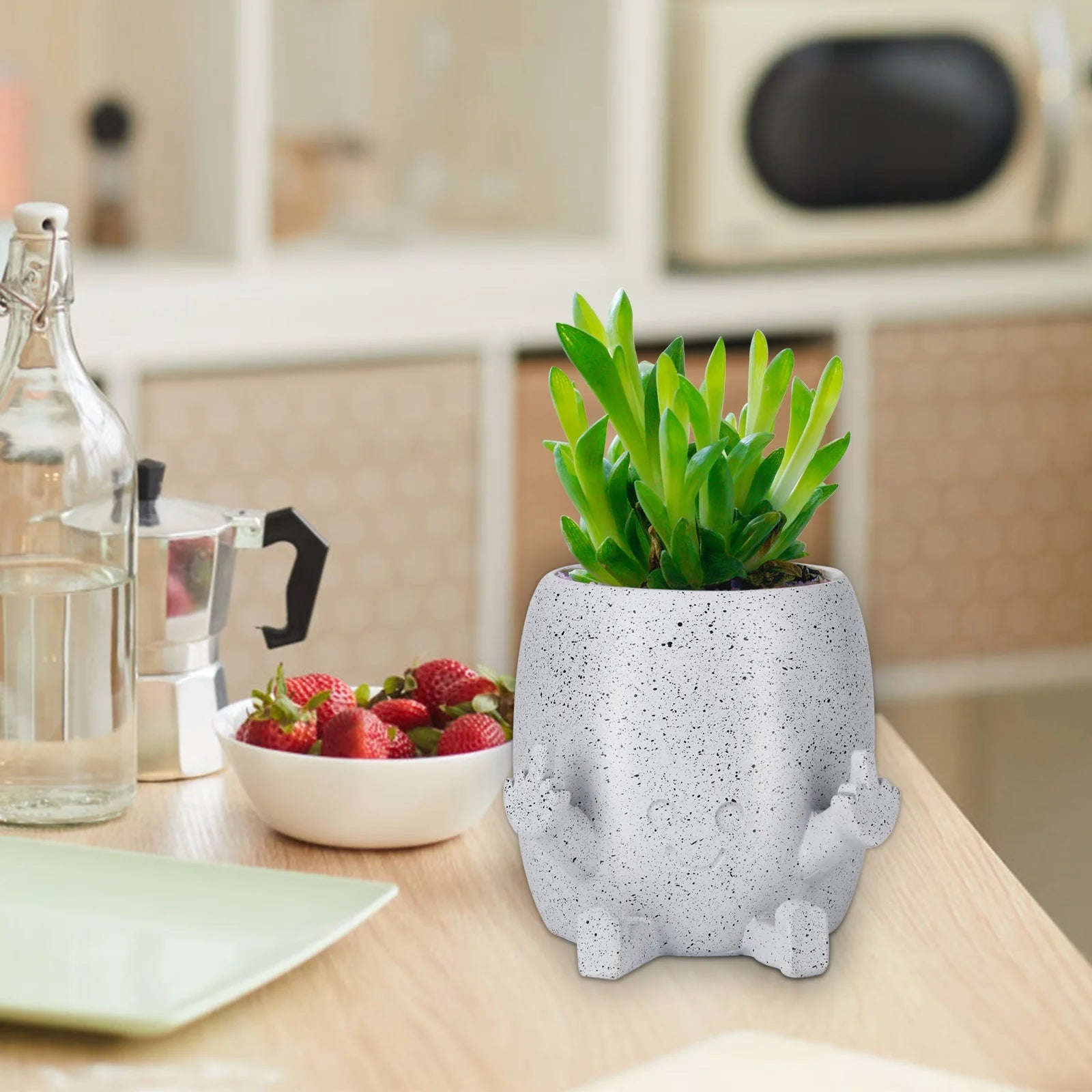 Funny Middle Finger Plant Pot